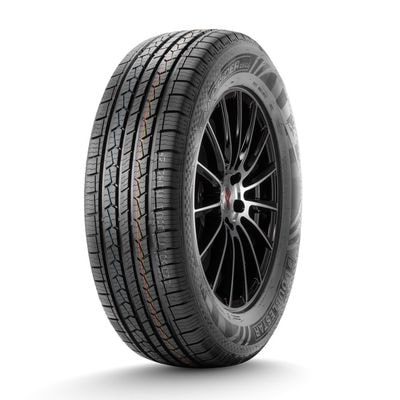  Doublestar 215/60 R17 100H Doublestar DS01  . (1PP02156017E3PABDA) ()